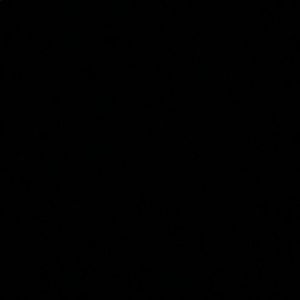 Meet your Posher, Henry